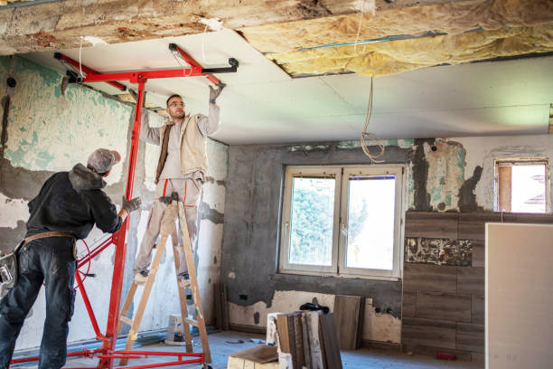 Best Types of Insulation in Saticoy, CA